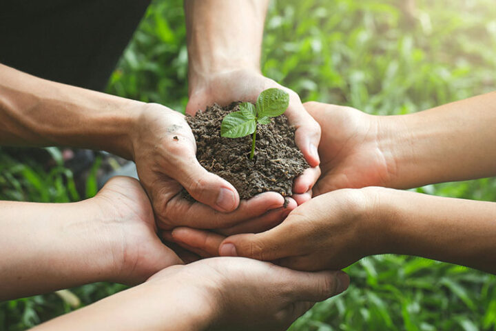 Several hands are cupped together holding soil and a small green seedling, with grass visible in the background.